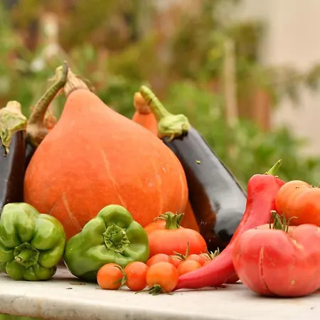 Oda ve Kahvaltı O Gre Des Sens Coufouleux