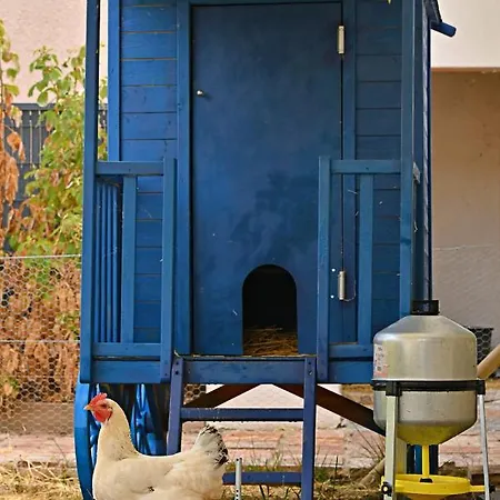 O Gre Des Sens Bed and Breakfast Coufouleux