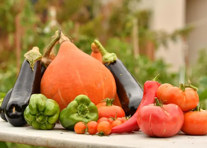 Couette-café O Gre Des Sens Coufouleux