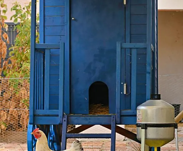 O Gre Des Sens Couette-café Coufouleux